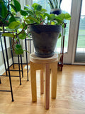 Baltic Birch Plywood Plant Stand