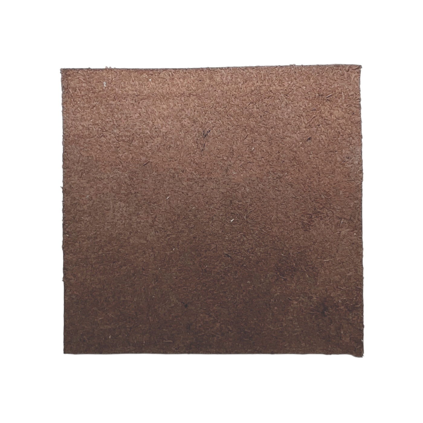 Brown Cowhide - Back