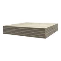 Baltic Birch Plywood (1/8" - 3/4") - B/BB Grade