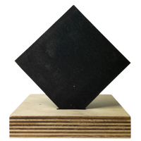 Black Baltic Birch Plywood