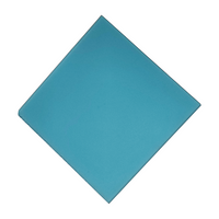 Acrylic (Frosted Turquoise) - Frosted Two Sides