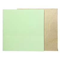 Light Green Pastel Acrylic - Matte One Side