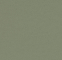 Olive Green Furniture Linoleum