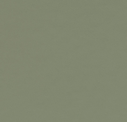 Olive Green Furniture Linoleum