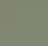 Olive Green Furniture Linoleum 