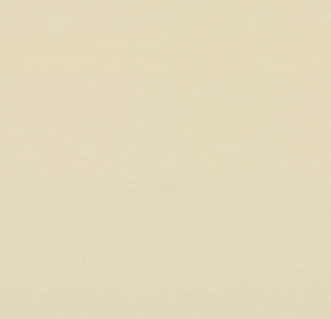 Pearl White Furniture Linoleum 